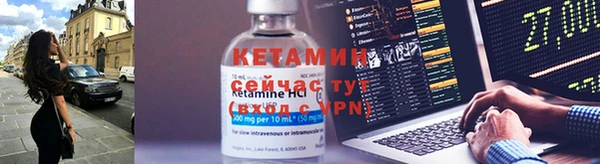 амф Дмитриев