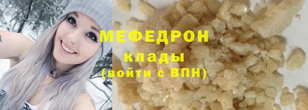 амф Дмитриев