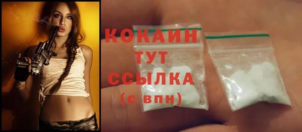 амф Дмитриев