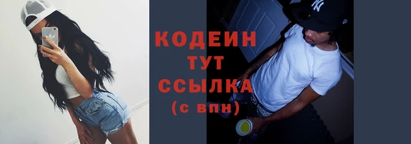 амф Дмитриев