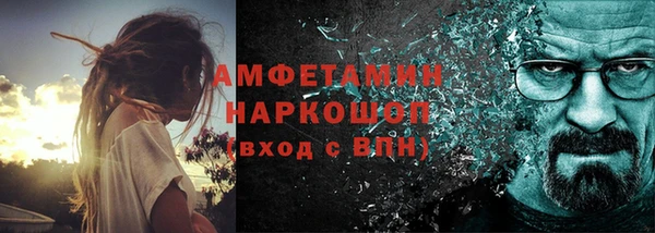 амф Дмитриев