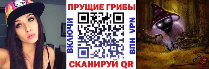 Купить где  Катав-Ивановск  Галлюциногенные грибы GOLDEN TEACHER 
